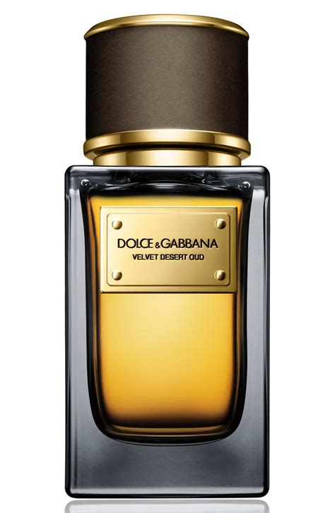 dolce and gabbana velvet